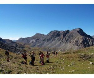 Wandelen - halve dag